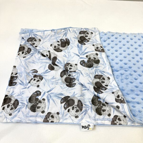 βρεφική κουβέρτα αγκαλιάς minky βελούδινο γαλάζιο