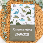 θήκη βιβλιαρίου υγείας με όνομα Happy dino